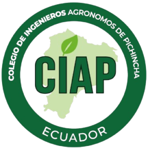 WhatsApp_Image_2025-08-07_at_17.46.04-removebg-preview