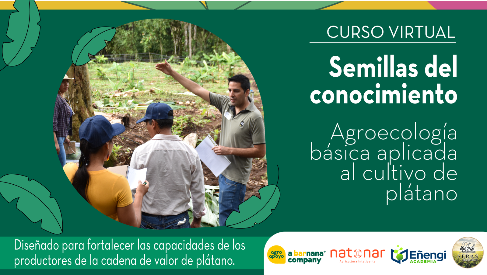 Semillas del Conocimiento: Agroecología Básica Aplicada al Cultivo de Plátano Verde